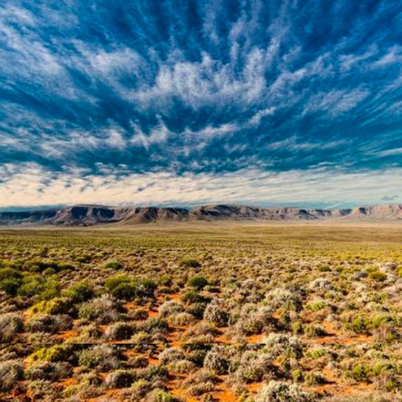 Desert landscape in the Karoo with shrubs and mountains under a blue sky with clouds.