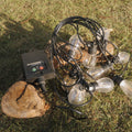 Gear Rental - Solar String Lights